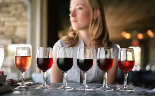 Can I Eat It iPhone App lets you know what is in the Marks & Spencer 2009 Saint Roman, White Burgundy, France with a barcode scanner app