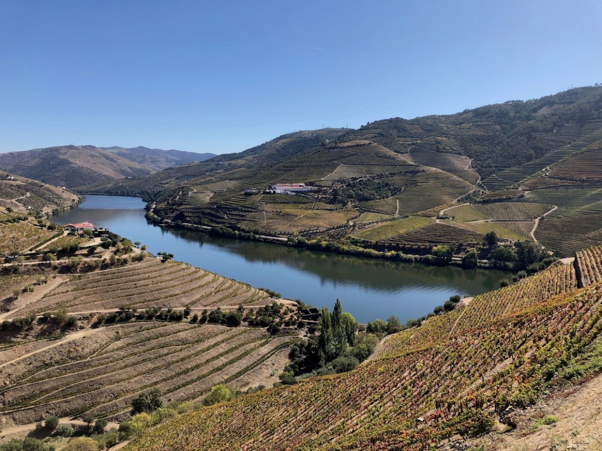 Any Port in a&nbsp;Storm